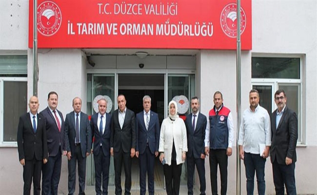 Düzce’de kahverengi kokarca mücadele çalışmaları değerlendirildi