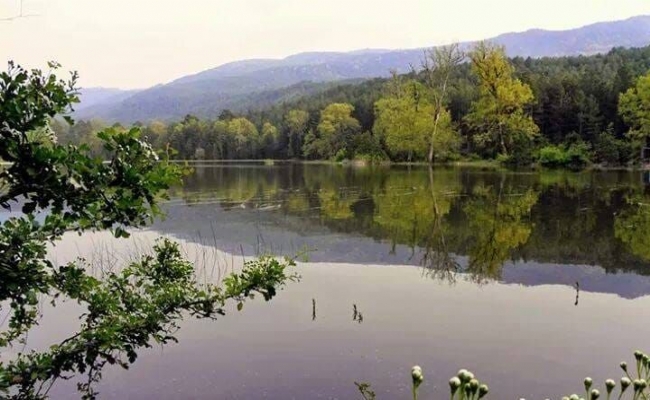  Düzceli İş İnsanlarından Balıkesir’e Doğa Turizmi Yatırımı
