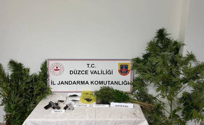Jandarmadan uyuşturucu operasyonu: 1 kişi tutukladı