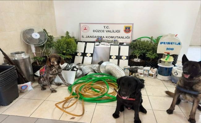 Kaynaşlı da uyuşturucu operasyonu